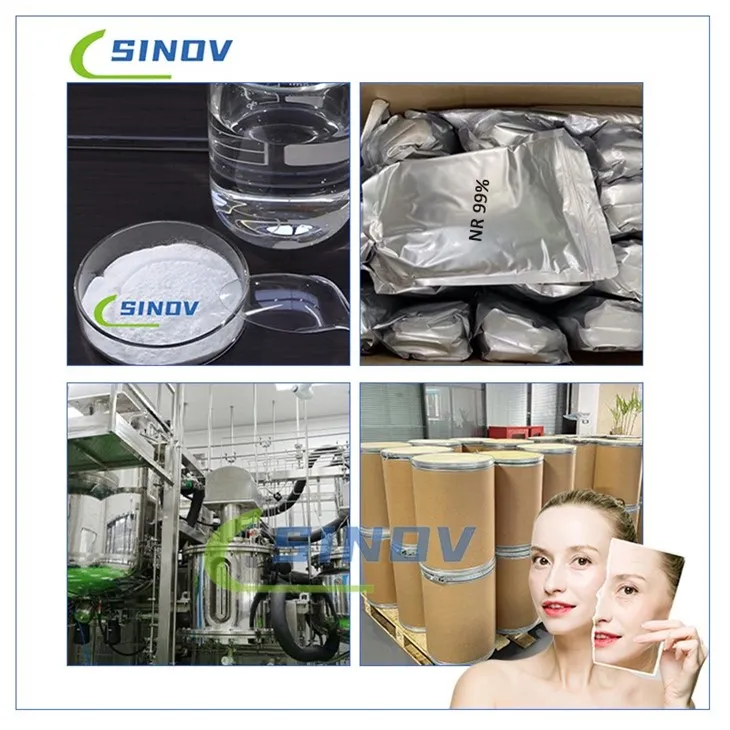 Carboxymethyl Chitosan Bulk Powder best