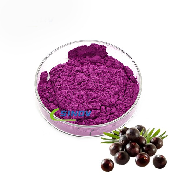 Organisch ACAI Berry Supplement Powder
